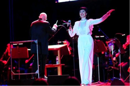 ������ ���� ��������